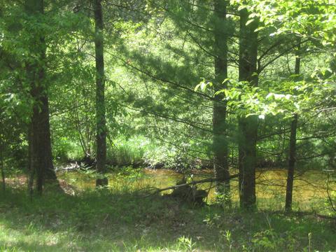 4585 N Spruce Ave, White Cloud, MI 49349 photo 16