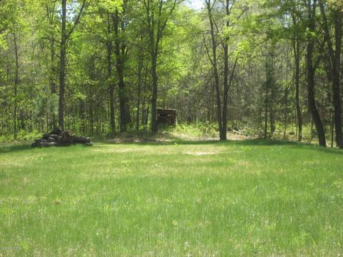 4585 N Spruce Ave, White Cloud, MI 49349 photo 20