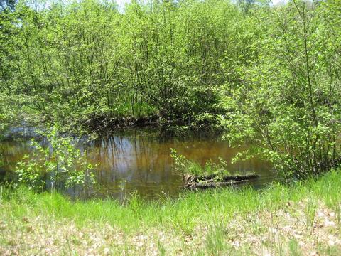4585 N Spruce Ave, White Cloud, MI 49349 photo 11