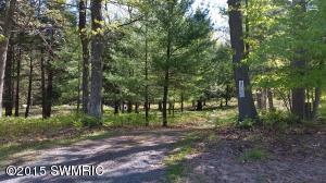 4586 N Pine Ave, Mears, MI 49436 photo 2