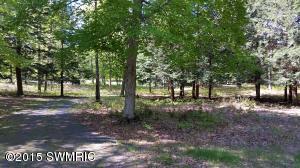 4586 N Pine Ave, Mears, MI 49436 photo 35