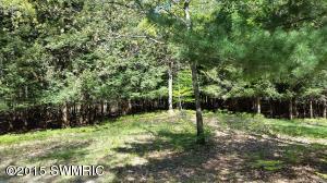 4586 N Pine Ave, Mears, MI 49436 photo 34