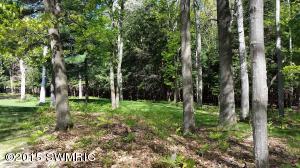 4586 N Pine Ave, Mears, MI 49436 photo 32