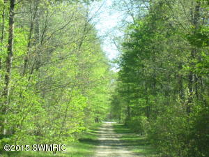 277 N Bear Trak, White Cloud, MI 49349 photo 36