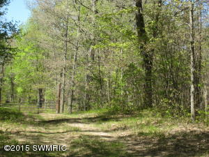 277 N Bear Trak, White Cloud, MI 49349 photo 35