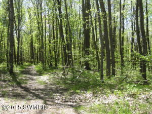 277 N Bear Trak, White Cloud, MI 49349 photo 13