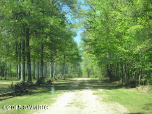 277 N Bear Trak, White Cloud, MI 49349 photo 4