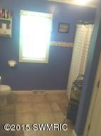 4101 Jackson Rd, Saranac, MI 48881 photo 8