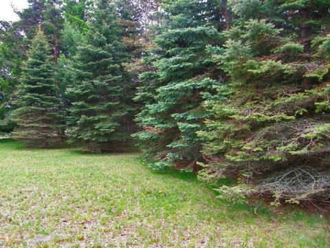 1431 E Preuss Rd, Manistee, MI 49660 photo 56