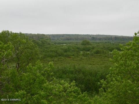1431 E Preuss Rd, Manistee, MI 49660 photo 63