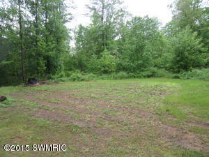 13577 S Willow Ave, Grant, MI 49327 photo 7