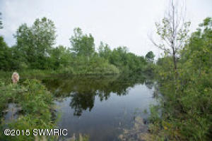 5361 W Baseline Rd, Plainwell, MI 49080 photo 28