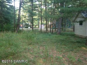 1734 W 68th St, Baldwin, MI 49304 photo 10