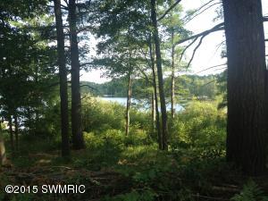 1734 W 68th St, Baldwin, MI 49304 photo 5