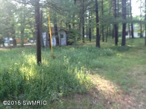 1734 W 68th St, Baldwin, MI 49304 photo 9