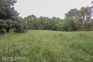 3689 20th St, Dorr, MI 49323 photo 59