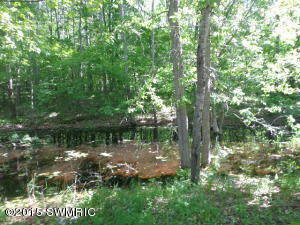 1595 S Townhall Rd, Stanton, MI 48888 photo 10