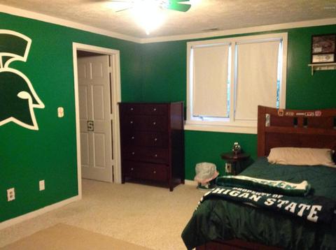 1300 5th St, Belding, MI 48809 photo 26