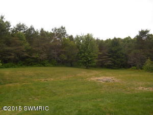 6253 E 76th St, Newaygo, MI 49337 photo 4