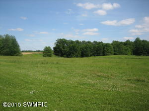 11066 E Drive Dr S, Ceresco, MI 49033 photo 11