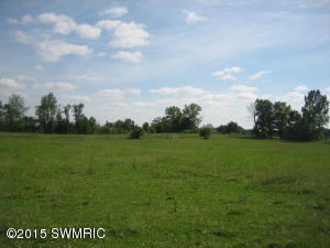 11066 E Drive Dr S, Ceresco, MI 49033 photo 33