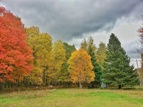 3201 E 6 Mile Rd, White Cloud, MI 49349 photo 13