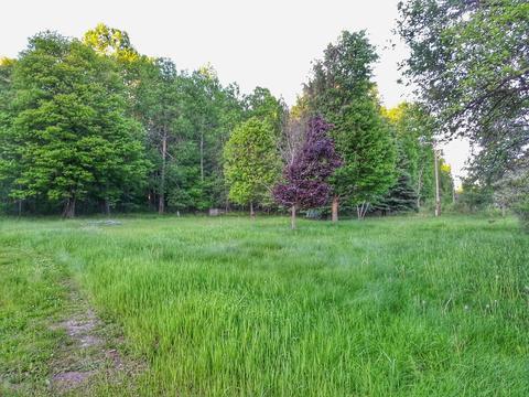 3201 E 6 Mile Rd, White Cloud, MI 49349 photo 1