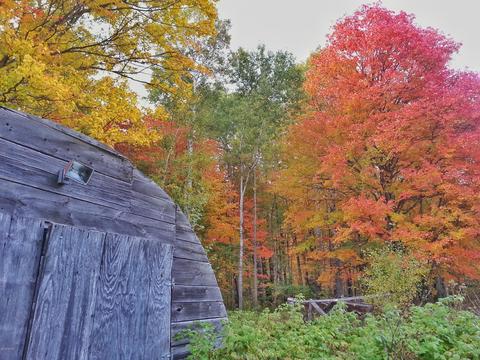 3201 E 6 Mile Rd, White Cloud, MI 49349 photo 12