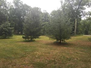 5415 S Arrowhead Trl, Baldwin, MI 49304 photo 28