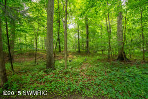 63384 Library Rd, Cassopolis, MI 49031 photo 33
