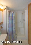 241 Dickerson SW, Stanton, MI 48888 photo 13