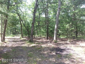 9310 S Ranger Rd, Baldwin, MI 49304 photo 23