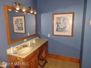 3217 Graff Rd, Belding, MI 48809 photo 27
