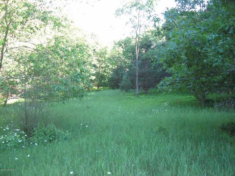 1018 Conservation Ct NE, Ada, MI 49301 photo 10