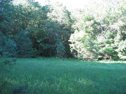 1018 Conservation Ct NE, Ada, MI 49301 photo 14