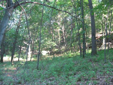 1018 Conservation Ct NE, Ada, MI 49301 photo 8