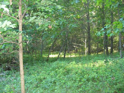 1018 Conservation Ct NE, Ada, MI 49301 photo 7