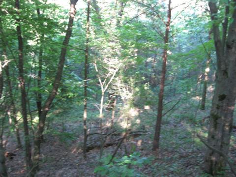 1018 Conservation Ct NE, Ada, MI 49301 photo 5