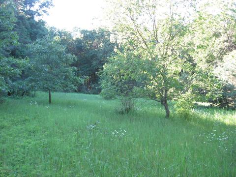 1018 Conservation Ct NE, Ada, MI 49301 photo 12