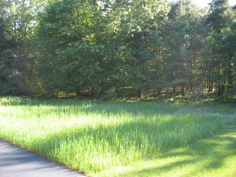 1018 Conservation Ct NE, Ada, MI 49301 photo 1