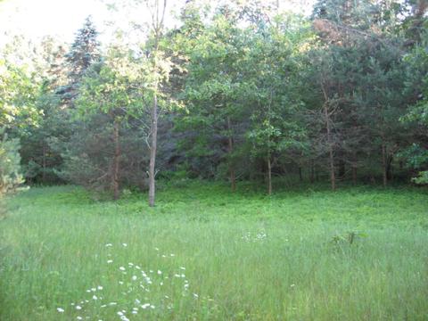 1018 Conservation Ct NE, Ada, MI 49301 photo 11