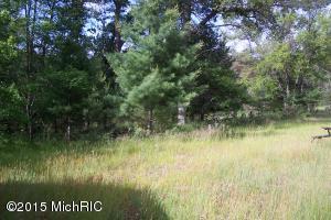4401 E M-63, Luther, MI 49656 photo 4