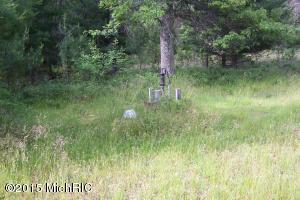4401 E M-63, Luther, MI 49656 photo 5