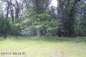 4401 E M-63, Luther, MI 49656 photo 7
