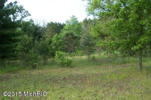 4401 E M-63, Luther, MI 49656 photo 8