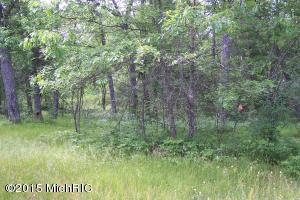 4401 E M-63, Luther, MI 49656 photo 9