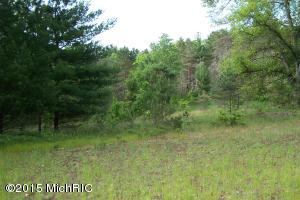 4401 E M-63, Luther, MI 49656 photo 6