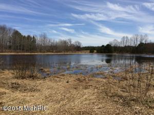 5215 E Baseline Rd, Hesperia, MI 49421 photo 4