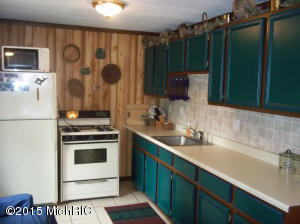 463 E 11 Mile Rd, Irons, MI 49644 photo 5