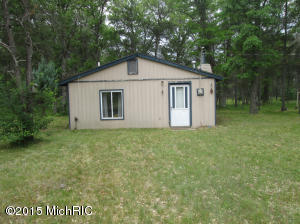 463 E 11 Mile Rd, Irons, MI 49644 photo 17